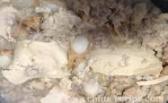 The method of making frozen tofu with seafood meat foam
