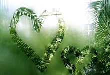 Stuffed White Mackerel with Soybeans and Cured Sausage