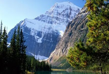 Stuffed White Mackerel with Soybeans and Cured Sausage