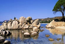 Stuffed White Mackerel with Soybeans and Cured Sausage