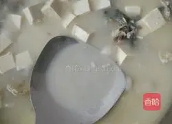 鲫鱼豆腐汤的做法图解5