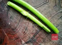 凉拌南瓜尖的做法图解2
