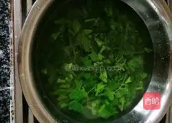凉拌南瓜尖的做法图解6