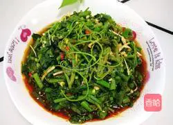 凉拌南瓜尖的做法图解9