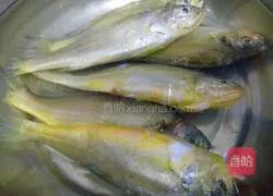 香煎黄花鱼的做法图解1