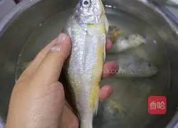 香煎黄花鱼的做法图解2