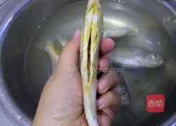 香煎黄花鱼的做法图解3