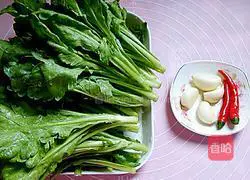 蒜蓉茼蒿的做法图解1