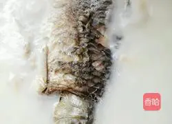 豆腐鱼汤的做法图解8
