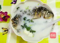 豆腐鱼汤的做法图解10