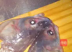 砂锅鱼头的做法图解1