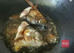 鱼头炖豆腐的做法图解4