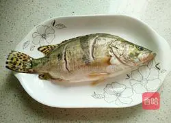 清蒸桂鱼的做法图解1