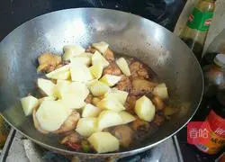 土豆炖鸡块的做法图解9