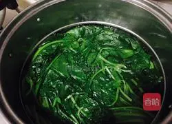 炝菠菜的做法图解1