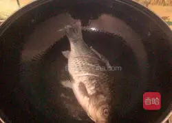 萝卜鲫鱼汤的做法图解3