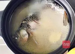 山药鲫鱼汤的做法图解5