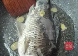 砂锅鲫鱼汤的做法图解7