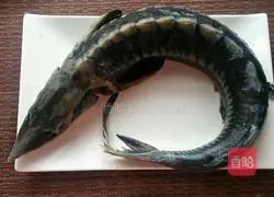 清蒸鲟鱼的做法图解1