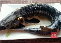 清蒸鲟鱼的做法图解3