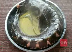 清蒸鲟鱼的做法图解5