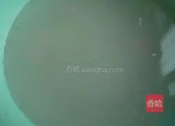 花生炖猪脚的做法图解6