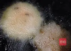 萝卜丝饼的做法图解7