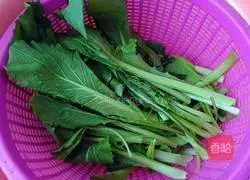 蒜香小白菜的做法图解3