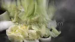 牛肉海带白菜的做法图解7