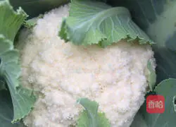 蚂蚁焗香辣花菜的做法图解1