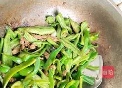 家常辣椒炒肉的做法图解3