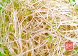 豆芽炒鸡蛋的做法图解1