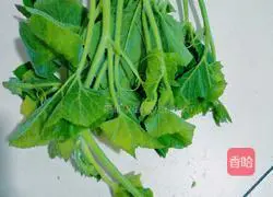清炒南瓜藤的做法图解1