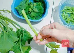 清炒南瓜藤的做法图解2