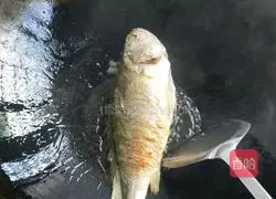 紫苏香辣鱼的做法图解3