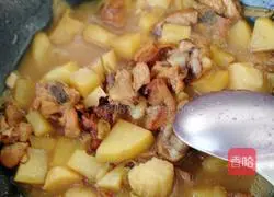 红烧鸡腿加土豆块的做法图解9