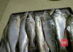豆鼓河鱼的做法图解1