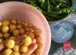 小土豆咸菜的做法图解2