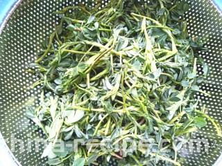 苜蓿菜饼,清香干净，控水