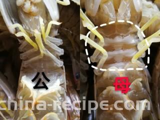 香辣皮皮虾,教大家分公母，看脖子下面的三道杠，公的是透明的，母的发白，这个方法来区分，可以说99.99%没错啦！