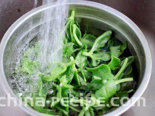 三七叶凉拌花生米,三七叶去除老叶后，清水里加入少许小苏打浸泡10分钟后，用清水冲洗干净沥干水分备用。