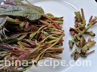 凉拌香椿,将香椿老的部分切除