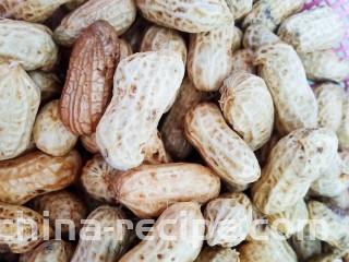 卤味全家福,带壳的生花生清洗干净备用。