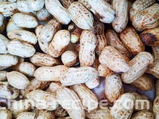 卤味全家福,再将带壳的生花生均匀的铺在上面。